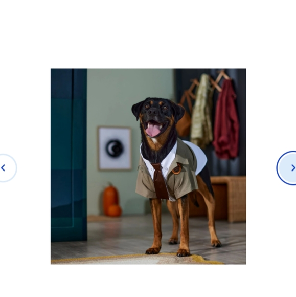 Loki Variant Dog Halloween costume - Picture 4 of 6